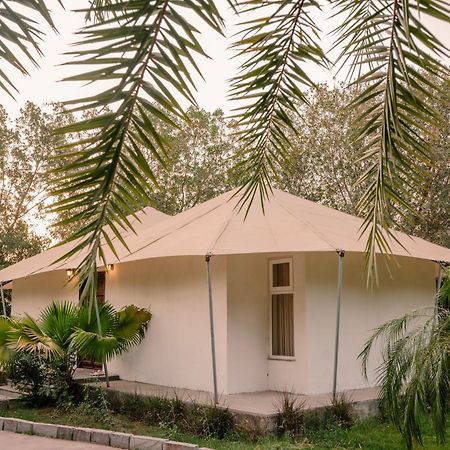 Clarks Safari Ranthambore Khilchīpur Exteriör bild