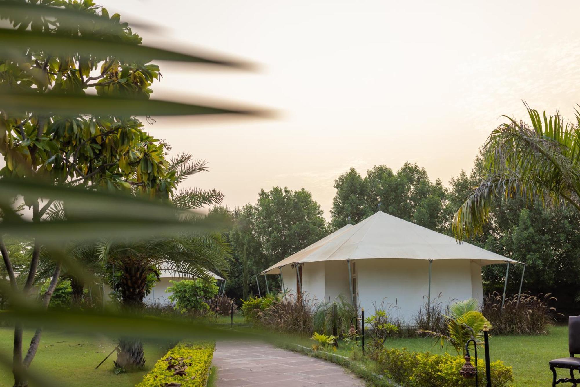 Clarks Safari Ranthambore Khilchīpur Exteriör bild