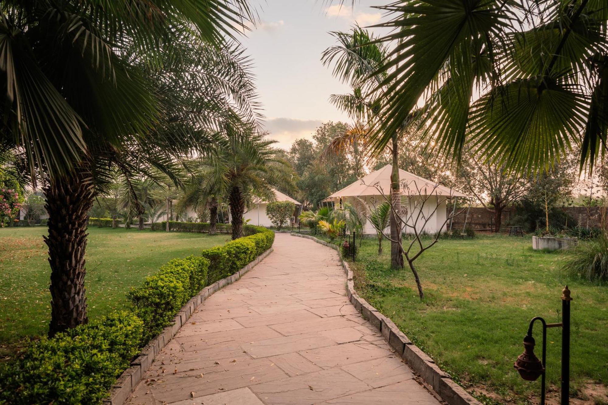 Clarks Safari Ranthambore Khilchīpur Exteriör bild